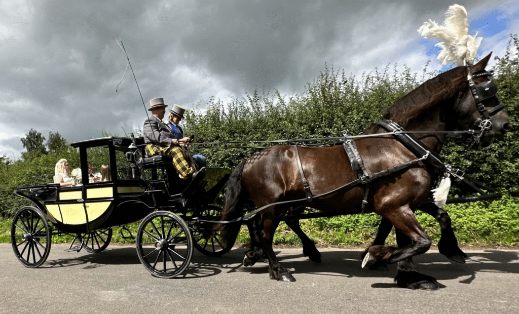 Horse drawn carriage with bride.