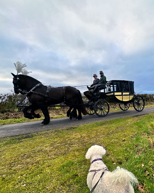 Horse drawn carriage