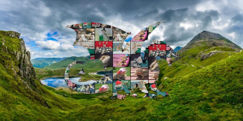 Collage of Bearded Dragons in the shape of a dragon over mountains