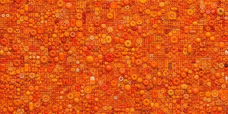 A dense collage of thousands of orange-coloured fruits packed edge-to-edge, showing an enormous variety of oranges in different sizes, shapes, textures and shades ranging from pale tangerine to deep burnt orange.